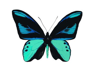 Art Print, , small