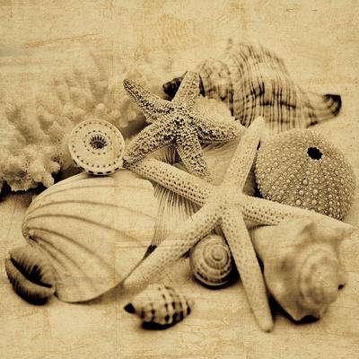 Photo, , small