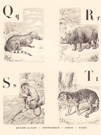 Giclee Print, , small