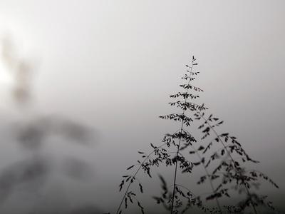Photographic Print, , small