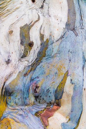 Photographic Print, , small