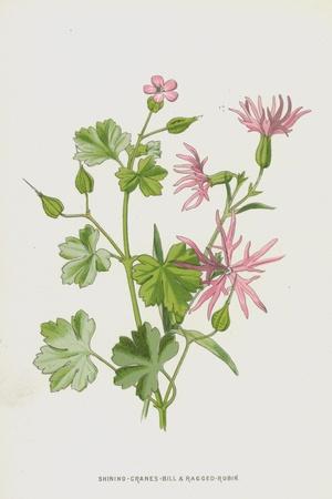 Giclee Print, , small