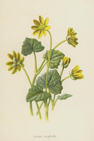 Giclee Print, , small