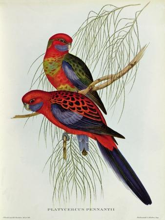 Giclee Print, , small