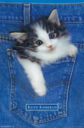 Poster, , small