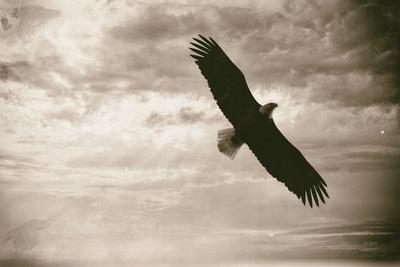 Photographic Print, , small