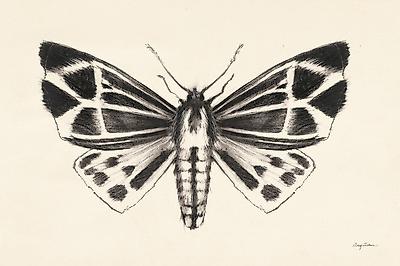 Art Print, , small