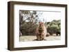 Smiling Quokka Posing for the Camera, Rottnest Island, Western Australia. Quokka - the Happiest Ani-Damian Lugowski-Framed Photographic Print