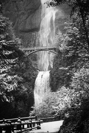 Photographic Print, , small