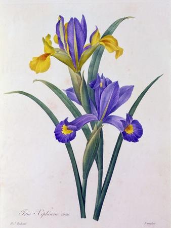 Giclee Print, , small