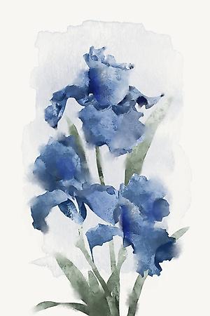 Art Print, , small