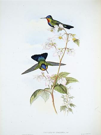 Giclee Print, , small