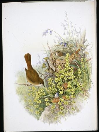 Giclee Print, , small