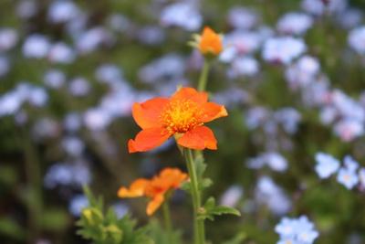 Photographic Print, , small