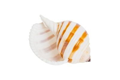 Photographic Print, , small
