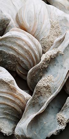 Photographic Print, , small