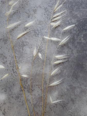 Photographic Print, , small