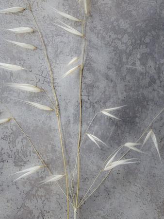 Photographic Print, , small
