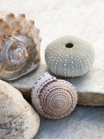 Photographic Print, , small