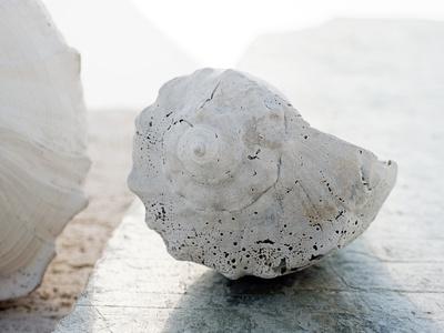 Photographic Print, , small