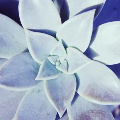 Photographic Print, , small