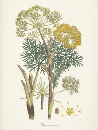 Art Print, , small