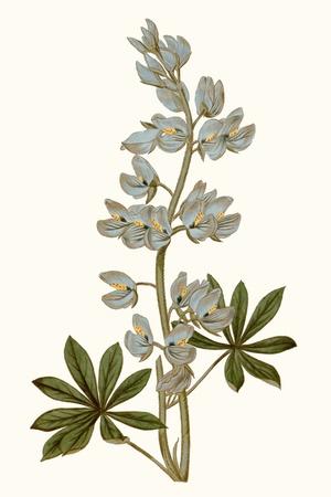 Art Print, , small