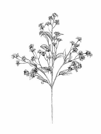 Art Print, , small