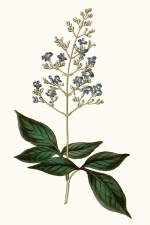 Art Print, , small