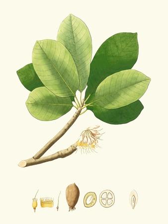 Art Print, , small