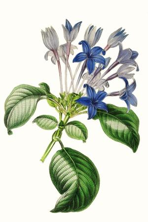 Art Print, , small