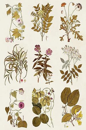 Art Print, , small