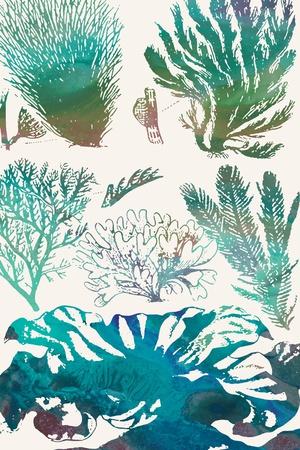 Art Print, , small