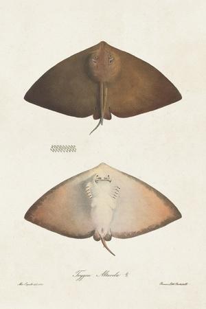 Art Print, , small