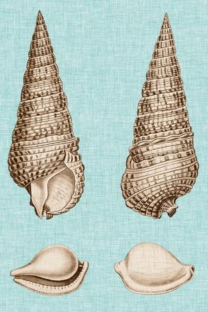 Art Print, , small