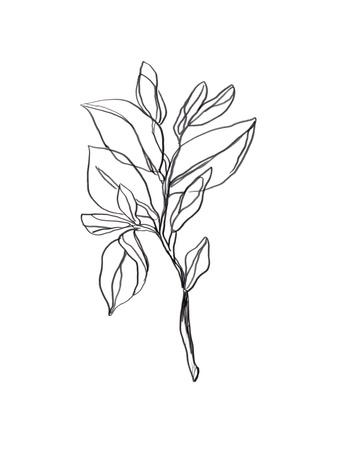 Art Print, , small