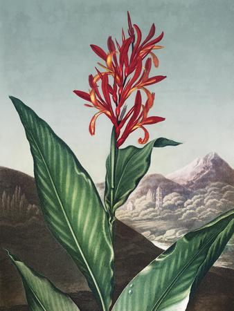 Art Print, , small