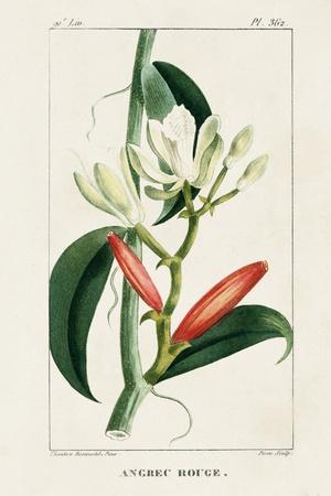 Art Print, , small