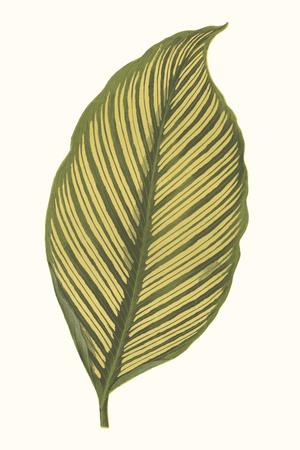 Art Print, , small