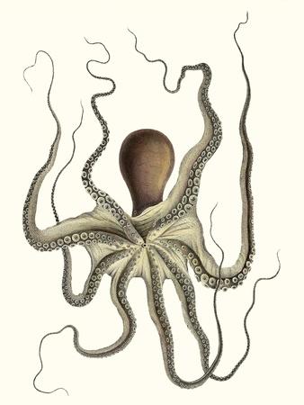 Art Print, , small