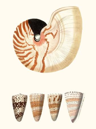 Art Print, , small