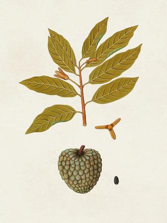 Art Print, , small