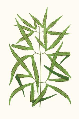 Art Print, , small