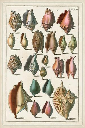 Art Print, , small
