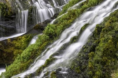 Photographic Print, , small