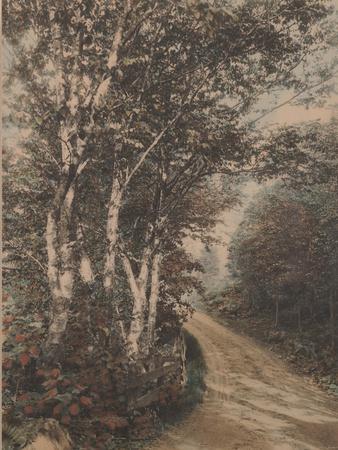 Giclee Print, , small