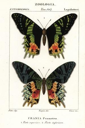 Giclee Print, , small