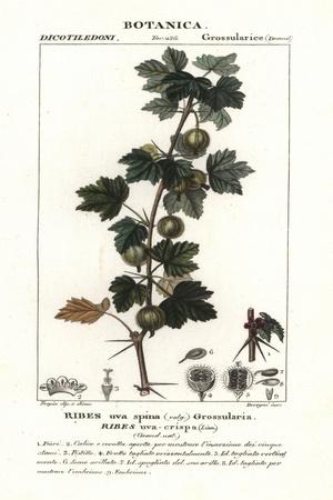 Giclee Print, , small