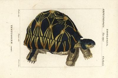 Giclee Print, , small