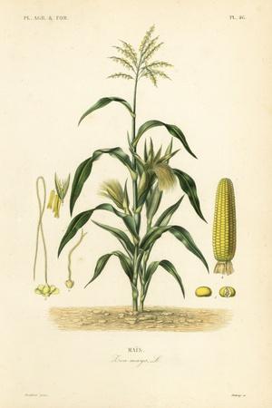 Giclee Print, , small